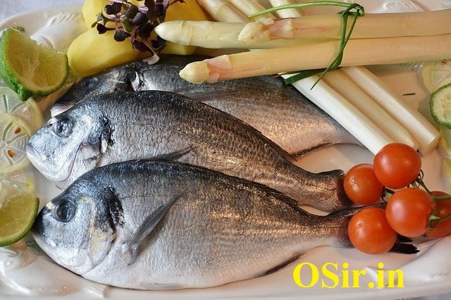 fish-osir.in