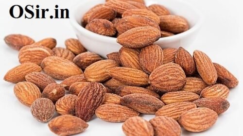 almonds-osir.in badam