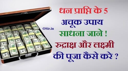 धन प्राप्ति के 5 अचूक सफल उपाय / साधना जाने ! रुद्राक्ष और लक्ष्मी की पूजा कैसे करे ? Top 5 ways to get money Easily in hindi