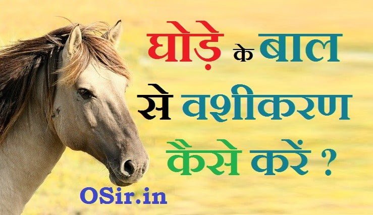 घोड़े से वशीकरण कैसे करें. घोड़े से वशीकरण करने का तरीका , घोड़े के वशीकरण कैसे करे , घोड़े से वशीकरण करने से क्या होता है , घोड़े से वशीकरण करने का तरीका क्या है , घोड़े से लड़की को कैसे वश में करे , घोड़े से दुसमन को कैसे वश में करें , घोड़े को कैसे वश में करें , ghode ko vash me kaise karen , ghode ko vash me karne ka tareeka kya hai , ghode se ladki ko vash me kaise karen , ghode se vasheekaran karne ka treeka , ghode se ladki ko vash me kaise kare , ghode se vasheekaran karne ka tareeka kya hai ,