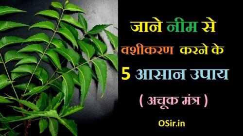 नीम से वशीकरण कैसे करें ? मंत्र और 5 विधियाँ जाने How to captivate with Neem in hindi?