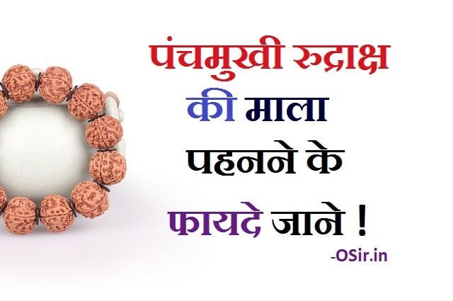 panchmukhi rudraksha wearing rules, Rudraksha Mala kyu pahne, , rudraksha mala pahanne ke fayde, rudraksha mala to wear, rudraksha mala care, rudraksha mala hand, rudraksha mala background, rudraksha mala details, rudraksha mala pehne ke niyam, rudraksha mala pehne ke fayde, rudraksha mala pahane ke niyam, ,ek mukhi rudraksha, rudraksha wearing rules for females, panch mukhi rudraksha price,, panch mukhi rudraksh mala, 5 mukhi rudraksha mala price, 5 mukhi rudraksha original, 5 mukhi rudraksha astrology, 5 mukhi rudraksha benefits in hindi, 6 mukhi rudraksha benefits, how to keep rudraksha at home, 5 mukhi rudraksha original, 7 मुखी रुद्राक्ष पहनने के फायदे, 3 मुखी रुद्राक्ष पहनने के फायदे, रुद्राक्ष पहनने के फायदे और नुकसान, 2 मुखी रुद्राक्ष पहनने के फायदे, 1 मुखी रुद्राक्ष पहनने के फायदे, 5 मुखी रुद्राक्ष पहनने के फायदे, 6 मुखी रुद्राक्ष पहनने के फायदे, Rudraksha dharan Muhurat 2021,