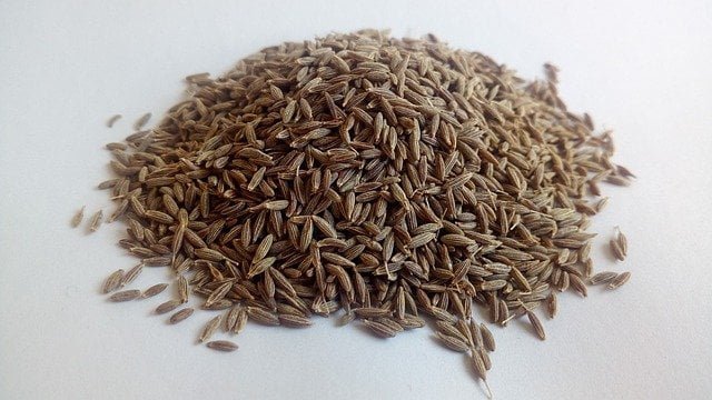 cumin-cumin jeera