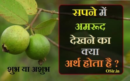 सपने में अमरूद देखने का क्या मतलब अर्थ होता है ? स्वप्न में अमरूद शुभ या अशुभ होता है ? What does it mean to see Guava in a dream hindi?