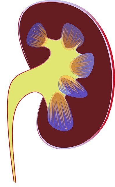 urinary disorders