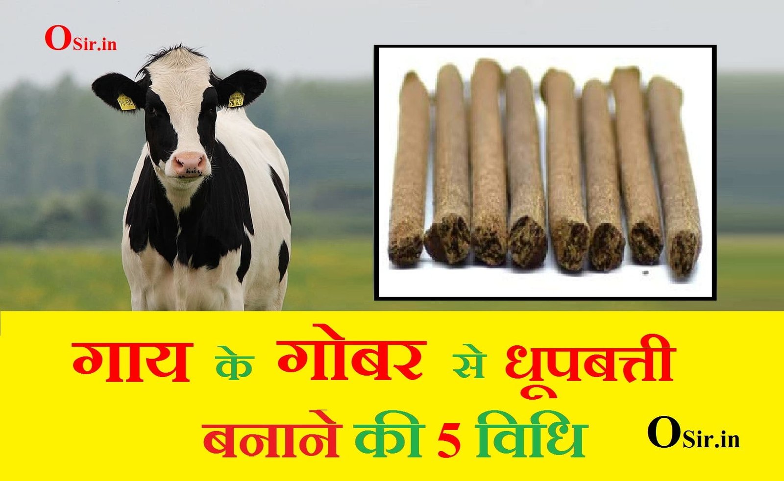 , मच्छर धूपबत्ती बनाने की विधि, धूपबत्ती बनाने की मशीन की कीमत, सुगंधित धूप बनाने की विधि, गोबर से धूपबत्ती बनाने की मशीन, गाय के गोबर की धूपबत्ती, दशांग धूप बनाने की विधि, धुप बत्ती रॉ मटेरियल, फूलों से धूपबत्ती बनाना, धूपबत्ती बनाने की सामग्री, गाय के गोबर से बनी धूप, फूलों से धूपबत्ती बनाना, गोबर से धूपबत्ती बनाने की मशीन, धूपबत्ती बनाने की मशीन की कीमत, मच्छर धूपबत्ती बनाने की विधि, धुप बत्ती रॉ मटेरियल, गोबर धूपबत्ती, gaaye ke gobar se dhoop batti, , गाय के गोबर से धूपबत्ती, gai ke gobar ki dhoop batti, gobar se agarbatti, gobar se dhoop batti banana, gobar se dhoop batti, , , gobar se dhoop batti banane ki vidhi, gobar se dhoop batti kaise banaye, gobar se dhup batti kaise banaye, gobar se dhup batti, gobar se dhoop batti banane ka formula, gobar se dhoop batti banana, gobar se agarbattai, gobar ki dhoop batti, , ,