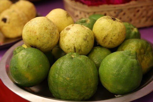 amrud guava 