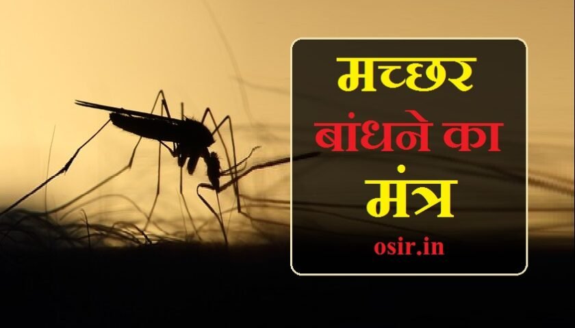 मच्छर बांधने का ग्रामीण मंत्र, मच्छर को बांधने का मंत्र, मच्छर भगाने का शाबर मंत्र, मधुमक्खी बांधने का मंत्र, मच्छर भगाने का मंत्र बताइए, आग बांधने का मंत्र, देह बांधने का मंत्र, मच्छर भगाने का मंत्र, काम बांधने का मंत्र, अग्नि को बांधने का मंत्र, नजर बांधने का मंत्र बताओ, जमीन बांधने का मंत्र, बांधने का मंत्र, थप्पड़ बांधने का मंत्र, दिमाग बांधने का मंत्र, धार बांधने का मंत्र, देवता बांधने का मंत्र, नजर बांधने का सिद्ध मंत्र, नजर बांधने का मंत्र, आग बांधने वाला मंत्र, बुखार बांधने का मंत्र, आगे बांधने का मंत्र, मच्छर बांधने का शाबर मंत्र, नजर बांधने का मंत्र बताइए, नजर बांधने का मंत्र बताएं, किसी चीज को बांधने का मंत्र, मच्छर बांधने का ग्रामीण मंत्र, मच्छर को बांधने का मंत्र, mosquito repellent techniques, mosquito repellent usage, mosquito repellent content, mosquito repellent application, mosquito repellent making, do mosquito repellent work, gm mosquito repellent, gm mosquito repellent review, gm mosquito repellent machine, gm mosquito repeller price, is mosquito repellent safe, are mosquito repellents harmful, mosquito repellent ayurvedic, mosquito repellent music, mosquito repellent song, mosquito repellent gm, मच्छर बांधने का मंत्र, machar bhagane ka mantra, आगे बांधने का मंत्र, अक्षर मंत्र, लगाने का मंत्र, ऊ मंत्र, किसी चीज को बांधने का मंत्र, ओके मंत्र, हांडी उड़ाने का मंत्र, अं बीज मंत्र, देह बांधने का मंत्र, काम बांधने का मंत्र, ghar bandhne ka mantra, छतरी मंत्र, विद्या बांधने का मंत्र, आदमी बांधने का मंत्र, ञ वाले शब्द, ञ का उच्चारण मराठी, ञ अक्षर से शब्द, थाली बांधने का मंत्र, थप्पड़ बांधने का मंत्र, dhaga bandhne ka mantra, ण वाले शब्द, देव बांधने का मंत्र, न मंत्रो न यंत्र, फल चढ़ाने का मंत्र, सभी प्रकार के मंत्र, त्र वाले शब्द, त्र अक्षर वाले शब्द, मच्छर भगाने का मंत्र बताइए, एक के मंत्र, मधुमक्खी बांधने का मंत्र, machar nashak lamp