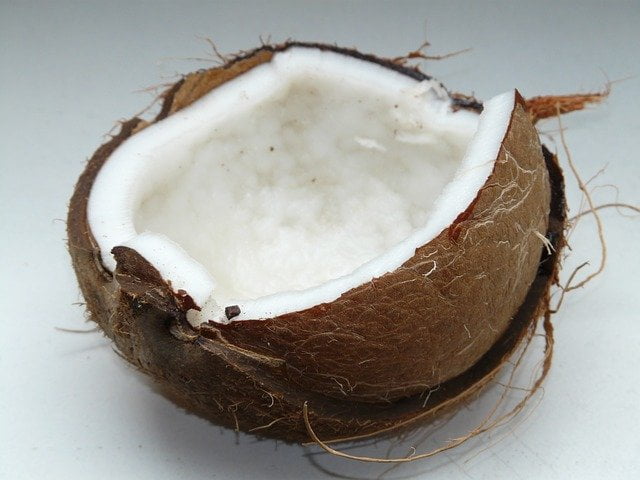 nut coconut