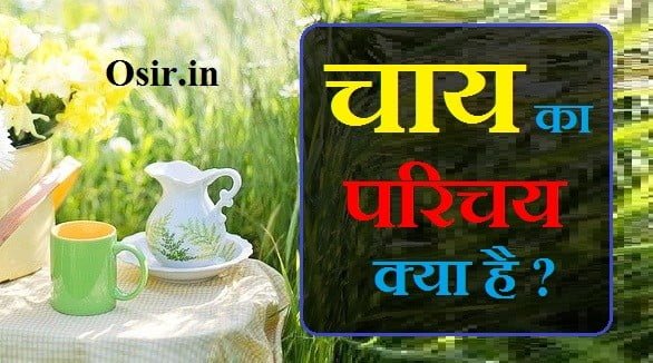चाय की खेती कब कहाँ और कैसे , भारत में प्रमुख चाय उत्पादक राज्य का नाम, भारत में चाय तथा कहवा के उत्पादन क्षेत्र बताइए, भारत में चाय के उत्पादन एवं वितरण का विवरण दीजिए, चाय की खेती किस मिट्टी में होती है, चाय की खेती के लिए कितनी वार्षिक वर्षा उपयुक्त है, चाय की खेती के लिए किस प्रकार की जलवायु उपयुक्त होती है, भारत के पर्यटन नगर, भारत के स्मारक और स्थान pdf download, भारत के पर्यटन स्थल pdf, भारत के पर्यटन नगरों के नाम, भारत में पर्यटन, ऐतिहासिक पर्यटन क्या है, भारत के प्रमुख पर्यटन स्थल gk, पर्यटन के प्रकार,
