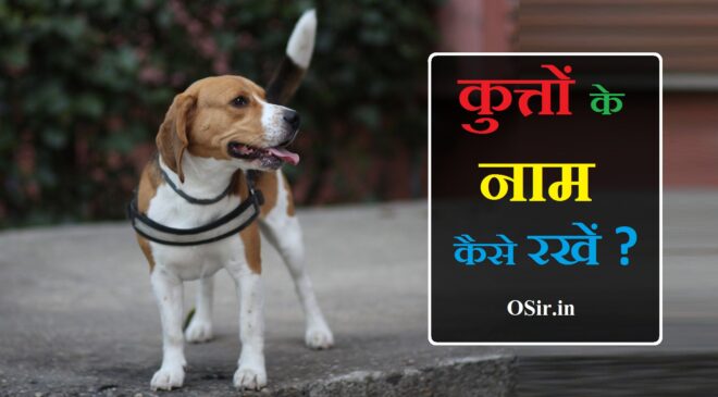 सभी तरह के पालतू कुत्तों के लिए 250+ नाम : Dogs nickname in hindi