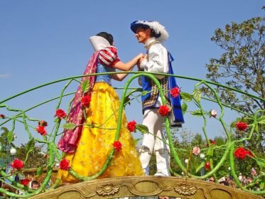fairy-tale girl-propose