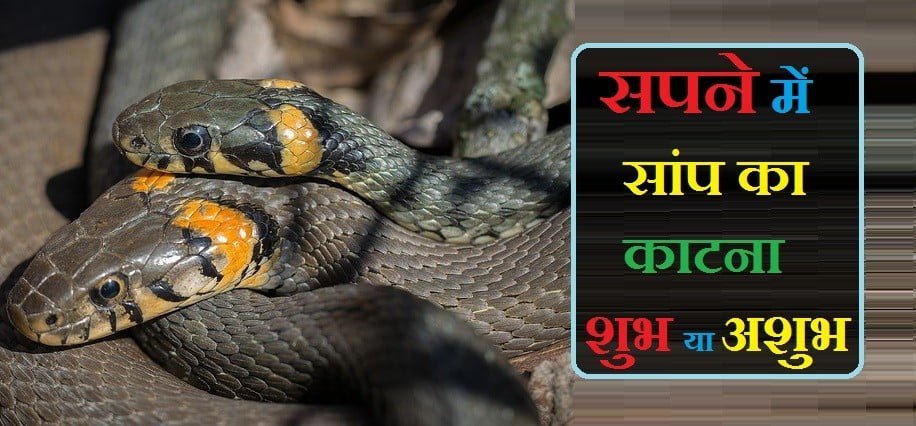 sapne me saap ka katna