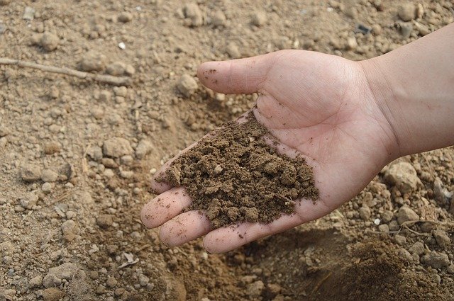soil mitti