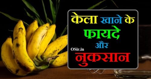 केला खाने के 5 ग़जब के फायदे एवं 5 नुकसान : जाने केला कब खाये Kela khane ke fayde