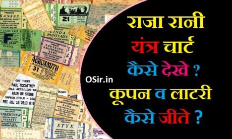 राजा रानी यंत्र चार्ट कैसे देखे? राजा रानी कूपन और लॉटरी कैसे जीते? | Raja rani yantra chart