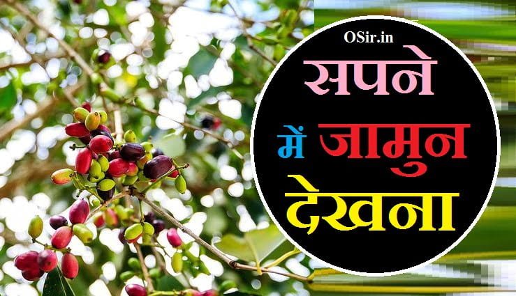सपने में jamun देखना , सपने में jamun देखना, सपने में गुलाब जामुन देखना, सपने में जामुन तोड़ते देखना, सपने में काले गुलाब जामुन देखना, सपने में पकी हुई जामुन देखना, सपने में जामुन तोड़ते हुए देखना, सपने में जामुन का फल देखना, सपने में जामुन खाते हुए देखना, सपने में जामुन का देखना, jamun dekhna sapne me, sapne mein jamun dekhna kaisa hota hai, sapne mein jamun dekhna kya hota hai, sapne me jamun dekhna in hindi, sapne me jamun dekhna aur khana, sapne mein jamun dekhna, सपने में जामुन देखना क्या होता है, सपने में जामुन देखना, सपने में जामुन देखना और खाना, सपने में जामुन देखना कैसा होता है, सपने में जामुन देखना वीडियो, सपने में जामुन देखना शुभ या अशुभsapne mein jamun dekhna, sapne mein jamun dekhna, sapne mein jamun dekhna shubh ya ashubh, sapne mein jamun dekhna khana, sapne mein jamun dekhna in hindi, sapne me jamun dekhna aur khana, sapne me jamun dekhna in hindi, khwab mein jamun dekhna, sapne mein gulab jamun dekhna, khwab mein jamun dekhna aur khana, pregnancy mein sapne mein jamun dekhna, sapne mein gulab jamun banate hue dekhna, sapne mein jamun dekhna kaisa hota hai, sapne mein jamun dekhna kya hota hai, sapne mein jamun dekhne ka matlab, sapne mein jamun ka dekhna, khwab mein jamun ka darakht dekhna, sapne mein jamun ka ped dekhna, sapne mein jamun ka fal dekhna, sapne me jamun ka fal dekhna, सपने में जामुन का देखना,