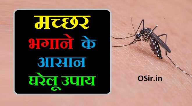 मच्छर भगाने का मंत्र : तुरंत मच्छर भगाने के 3 आसान घरेलु उपाय