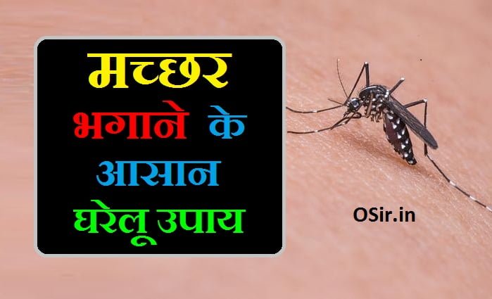 Machhar Insect मच्छर भगाने का मंत्र : तुरंत मच्छर भगाने के 3 आसान घरेलु उपाय - OSir.in