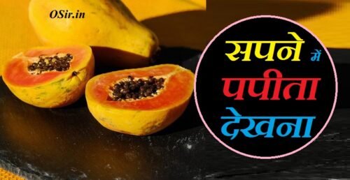 सपने में पपीता देखना कैसा होता है, सपने में पपीता देखना क्या होता है, सपने में पपीता देखना शुभ या अशुभ, सपने में पपीता देखना कैसा है, सपने में हरा पपीता देखना, सपने में पपीता का पेड़ देखना, सपने में पपीता को देखना, सपने में कच्चा पपीता देखना, सपने में पपीता खाते देखना, सपने में पपीता खाते हुए देखना, सपने में पपीते को देखना, सपने में पपीता का पेड़ देखना कैसा होता है, सपने में कटा हुआ पपीता देखना, सपने में पपीता का फल देखना, सपने में पपीता खाना देखना, सपने में पपीता देखना घर में, सपने में पपीता देखना घरेलू, सपने में पपीता देखना चाहिए या नहीं, सपने में पपीता देखना छुपाना, सपने में पपीता देखना छूने, सपने में पपीता देखना जाता है, सपने में पपीता देखना जलते हुए देख, सपने में पपीता देखना झूठा, सपने में पपीता देखना ठीक है, सपने में पपीता तोड़ते हुए देखना, सपने में पपीता देखना देखना, सपने में पपीता देखना दिखना, सपने में पपीता देखना देखने से क्या होता है, सपने में पपीता देखना देखने का मतलब, सपने में पपीता देखना देखने का अर्थ, सपने में पपीता देखना देखने का क्या मतलब, सपने में पपीता देखना देखने का, sapne me papita dekhna in hindi, sapne me papita dekhna kya hota hai, sapne me papita ka ped dekhna, sapne me ped par papita dekhna, sapne me papita todte hue dekhna, sapne me papita aur amrud dekhna, sapne me papita khana dekhna, सपने में पपीता देखना, sapne me paka papita dekhna, सपने में पपीता dekhna अर्थ, sapne me papita dekhna ऐसा होता है, sapne mein papita dekhna hai, sapne mein papita dekhna kaisa hota hai, sapne mein papita dekhna kya hota hai, सपने में पपीता देखना कैसा होता है, सपने में पपीता देखना कैसा है, सपने में पपीते को देखना, सपने में पपीता का पेड़ देखना कैसा होता है, सपने में पपीता खाते देखना, सपने में पपीता खाना देखना, सपने में पपीता dekhna तोड़ना क्या होता है, सपने में पपीता dekhna तोड़ने का मतलब, सपने में पपीता dekhna तोड़ने, सपने में पपीता देखना तोड़ते हुए, सपने में पपीता dekhna देखने से क्या होता है, सपने में पपीता dekhna देखने का मतलब, सपने में पपीता dekhna देखने का अर्थ, सपने में पपीता dekhna देखने का क्या मतलब, सपने में पपीता dekhna देखने का, सपने में पपीता dekhna दिखना,