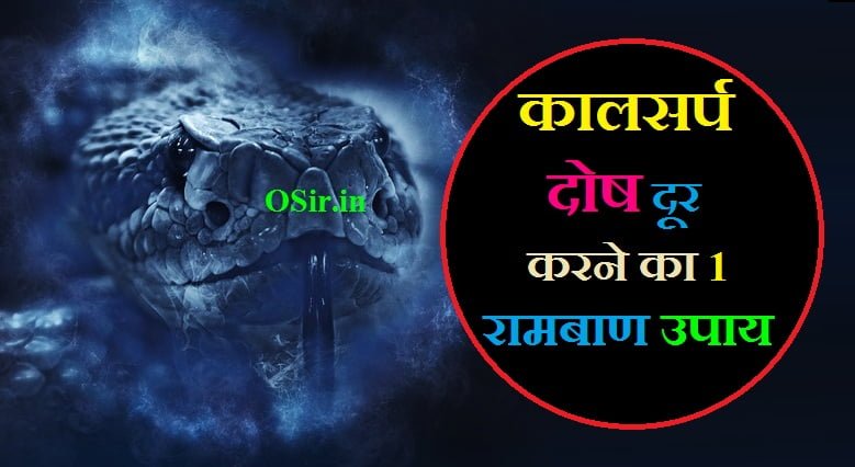 राहु दोष निवारण मंत्र कालसर्प दोष निवारण का उपाय कालसर्प दोष का निवारण कैसे करें kaal sarp dosh kya hota hai kala sarpa dosha nivarana mantra