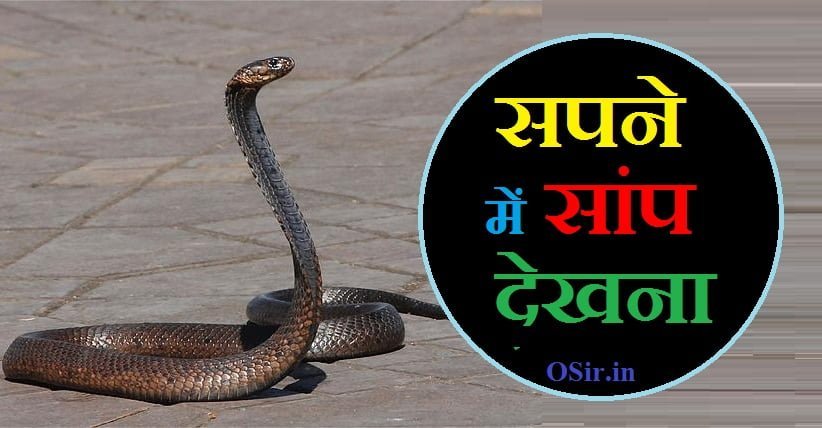 सपने में सांप देखना, सपने में सांप देखना इन हिंदी, सपने में सांप देखना क्या मतलब है, सपने में सांप देखना शुभ है या अशुभ, सपने में सांप देखना शुभ या अशुभ, सपने में सांप देखना वीडियो, सपने में सांप को देखना का मतलब, सपनों में सांपों का देखना, sapne mein saamp dekhna achha ya bura, sapne mein saamp dekhna, sapne mein saanp dekhna, sapne mein saanp dekhna kala, sapne mein saanp dekhna ki tabeer, sapne mein saanp dekhna shubh ya ashubh, sapne mein saanp dekhna matlab, sapne mein saanp dekhna achha hota hai, sapne mein saamp dekhna aur usko marna, sapne mein saamp dekhna achha hota hai ya kharab, sapne mein saamp dekhna achha hota hai bura, sapne mein saamp dekhna aur katna, sapne mein saanp dekhna achha hai, sapne mein saanp dekhna aur maarna, sapne mein saanp dekhna achha hota hai ki bura, sapne mein saanp dekhna bahut sare, sapne mein saanp dekhna bahut bada, sapne mein saanp dekhna bataiye, sapne mein saanp bichhu dekhna, sapne mein saanp ka baccha dekhna, sapne mein saanp ka bil dekhna, sapne mein saanp ke bacche dekhna, sapne mein saanp ko bhagte dekhna, sapne mein saanp aur chipkali dekhna, khwab mein saanp dekhna madani channel, sapne mein chota saanp dekhna, sapne mein cobra saanp dekhna, khwab mein saanp aur chipkali dekhna, sapne mein chote chote saap dekhna, sapne mein saanp chalte hue dekhna, sapne mein golden colour ka saap dekhna, sapne mein saanp dekhna dekhna, sapne mein saanp ke dant dekhna, sapne me saap ka dasna dekhna, sapne me saap ke dant dekhna, khwab mein saanp ko daste dekhna, khwab mein saanp ka dasna dekhna, sapne me do saap dekhna, sapne mein saanp dekhna hai, sapne mein ek sath do saanp dekhna, sapne mein kala saap dekhna hai, sapne mein kala saamp dekhna shubh hai ya ashubh, sapne mein safed saap dekhna hai, sapne mein bahut sare saap dekhna hai, sapne mein kala saamp dekhna kaisa hai, sapne mein saamp ka baccha dekhna hai, sapne me saap ko fan failaye dekhna, sapne mein fan wala saanp dekhna, sapne mein panch fan wala saanp dekhna, सपने में सांप को देखना का मतलब, sapne mein saanp dekhna ghar ke andar, sapne mein ghar mein saanp dekhna, sapne mein saanp ka ghar dekhna, sapne mein ghayal saanp dekhna, sapne mein green saap dekhna, sapne mein golden saap dekhna, khwab mein saanp ka gosht dekhna, sapne mein gulabi saap dekhna, sapne mein saanp dekhna hindi mein, khwab mein saanp dekhna hai, sapne me saanp dekhna acha hai ya bura, sapne mein saanp khate hue dekhna, sapne mein saanp marte hue dekhna, sapne mein saanp dekhna in hindi, sapne mein saap dekhna iska matlab kya hota hai, khwab mein saanp dekhna in islam, khwab mein saanp dekhna in urdu, khwab mein saanp dekhna in hindi, khwab mein saanp dekhna tabeer in urdu, khwab mein sabz saanp dekhna in urdu, sapne mein ichchadhari saamp dekhna, sapne mein saanp ka joda dekhna, sapne mein saanp ka jhund dekhna, sapne mein saanp dekhna kaisa mana jata hai, sapne mein saanp ka joda dekhna kaisa hota hai, sapne mein jinda saap dekhna, sapne mein jyada saap dekhna, khwab mein saanp ka joda dekhna, sapne me jinda saanp dekhna, sapne mein saanp dekhna kaisa hota hai, sapne mein saanp dekhna lal, sapne mein saamp ki ladai dekhna, sapne mein saanp ki ladai dekhna, sapne mein lal saap dekhna, sapne mein lamba saanp dekhna, sapne mein saanp nevla ki ladai dekhna, sapne mein kala sanp dekhna, sapne me kala sanp dekhna, sapne mein saanp dekhna kya matlab hota hai, sapne mein saanp marte dekhna, sapne mein saanp dekhna ka matlab kya hota hai, sapne mein saamp dekhna ka matlab kya hai, sapne mein saanp ki mausi dekhna, khwab mein saanp dekhna or marna, sapne mein saanp aur nevla dekhna, sapne mein neela saanp dekhna, sapne mein naag saap dekhna, sapne me nag saanp dekhna, sapne mein nadi mein saanp dekhna, sapne mein orange saanp dekhna, sapne me orange saanp dekhna, sapne mein saanp dekhna pani mein, sapne mein saanp ki puch dekhna, sapne mein saanp aur pani dekhna, sapne mein pila saap dekhna, sapne mein peela saanp dekhna, sapne me purple saanp dekhna, sapne me pink saap dekhna, सपने में सांप को देखना क्या होता है, सपने में सांप को देखना क्या मतलब होता है, सपने में सांप देखना क्या मतलब है, सपने में सांप को देखना क्या होता है बताइए, sapne mein saanp dekhna kaisa rahata hai, sapne mein rangeen saanp dekhna, sapne me roj saanp dekhna, sapne me red saap dekhna, sapne mein peele rang ka saap dekhna, sapne mein bhure rang ka saap dekhna, sapne mein gulabi rang ka saap dekhna, sapne mein saanp dekhna shubh hota hai, sapne mein saanp dekhna subah, sapne mein saanp dekhna se kya hota hai, sapne mein saamp dekhna saamp, sapne mein saanp dekhna song, sapne mein saanp dekhna sahi hai ya galat, sapne mein saanp dekhna safed, sapne mein saap dekhna shubh ya ashubh, sapne mein saanp dekhna tha, sapne mein saanp dekhna kya hota hai, khwab mein saanp dekhna tabeer, sapne mein saanp ke tukde dekhna, khwab mein saanp dekhna ki tabeer in urdu, khwab mein saanp dekhna ki tabeer, sapne mein saanp dekhna iska kya matlab hai, sapne mein saanp dekhna iska kya arth hai, sapne mein saanp dekhna video, sapne mein kala saamp dekhna video, sapne mein white saanp dekhna, sapne me white saap dekhna, sapne mein udane wala saap dekhna, sapne mein do muh wala saap dekhna, sapne mein saanp ko pani mein terte hue dekhna, sapne mein saamp dekhna achha ya bura, sapne mein kala saap dekhna shubh ya ashubh, sapne mein yellow saanp dekhna, सपने में सांप देखना शुभ या अशुभ, khwab mein saanp ka zehar dekhna, sapne me zakhmi saanp dekhna, shaniwar ko sapne mein saanp dekhna, pregnancy mein sapne mein saanp dekhna, bar bar sapne mein saanp dekhna, khwab mein saanp dekhna aur marna, sapne me saap dekhna aur katana, sapne mein ajgar saanp dekhna, sapne me saap ke ande dekhna, sapne me saap ka anda dekhna, sapne me saap dekhna subh ya ashubh, sapne me saap bhagte dekhna, sapne me saap bichu dekhna, sapne mein saanp ka bacha dekhna, sapne mein saanp ka bill dekhna, sapne me saanp ka baccha dekhna, khwab mein saanp ka bacha dekhna, khwab mein saanp k bachy dekhna, sapne me saap chalte dekhna, sapne me saap chuha dekhna, sapne me saap chipkali dekhna, sapne mein colourful saanp dekhna, sapne mein saanp dekhna kaisa hai, sapne me saap ka fan dekhna, sapne me saap ka guchha dekhna, sapne me saanp ka gussa dekhna, sapne me saap dekhna hindi, sapne me saap dekhna hindi mai, sapne mein saap dekhna in hindi, khwab mein saanp dekhna kaisa hai, sapne mein saanp ladte hue dekhna, sapne mein saanp katte hue dekhna, sapne me saap dekhna in pregnancy, sapne me saap dekhna islam, sapne me saap joda dekhna, sapne me saap ko jalte dekhna, sapne me saap ki jodi dekhna, sapne me saap ki jeebh dekhna, sapne me saap ko jate dekhna, khwab mein saanp dekhna ki tabeer in hindi, khwab mein saanp dekhna kaisa hota hai, sapne me saap dekhna lal kitab, sapne me saap ladte dekhna, sapne me saap lipte dekhna, sapne mein lamba saap dekhna, sapne me lal saap dekhna, sapne me saap dekhna means in hindi, sapne me saap dekhna matlab kya hai, sapne me saap dekhna marna, sapne me saap mara dekhna, sapne me saap nevla dekhna, sapne me saap ko nachte dekhna, nag panchami ke din sapne mein saanp dekhna, sapne me saap dekhna or marna, sapne me saap dekhna or katna, sapne me saap pakadte dekhna, sapne me saap palna dekhna, sapne me saap or pani dekhna, sapne me saap ko rengte dekhna, sapne mein saanp dekhna subah subah, sapne me saap dekhna shubh ya ashubh in hindi, sapne mein safed saap dekhna, sapne me safed saanp dekhna, sapne me saap aur shivling dekhna, khwab mein saanp ko dekhna tabeer, khwab mein kala saanp dekhna tabeer, khwab mein saanp urta dekhna, sapne me saap ko udte dekhna, sapne me saap dekhna video, sapne mein fan wala saap dekhna, sapne me saap dekhna shubh ya ashubh, sapne mein kala saap dekhna kaisa hota hai, sapne mein kala saap dekhna kya hota hai, sapne mein kala bada saap dekhna, sapne mein kala saanp ko marte hue dekhna, khwab mein kala saanp dekhna in urdu, sapne me kala saap dekhna in hindi, khwab mein kala saanp dekhna ki tabeer in urdu, khwab mein kala saanp dekhna ki tabeer in hindi, sapne me kala saap dekhna kya hota h, sapne mein kala saap dekhna, sapne mein kala saap dekhne ka matlab, khwab mein saanp dekhne ki tabeer, khwab mein saanp dekhne ki tabeer in urdu, khwab main saanp dekhna ki tabeer in urdu, khwab mein sanp dekhne ki tabeer bataye, khwab me sanp dekhne ki tabeer, khwab mein saanp dekhne ki tabeer kya hai, khwab mein hara saanp dekhna ki tabeer, khwab mein saanp ko dekhne ki tabeer, khwab mein safed saanp dekhna ki tabeer, khwab mein sabz saanp dekhna ki tabeer, khwab mein white sanp dekhna ki tabeer, सपने में सांप को देखना शुभ है या अशुभ, सपने में सांप को काटते हुए देखना शुभ या अशुभ, सपने में सांप देखना शुभ है या अशुभ, sapne me saap ka dekhna shubh ya ashubh, sapne me saap dekhna ka matlab in hindi, sapne mein saanp dekhna kya matlab hai, sapne me kala saap dekhna ka matlab, सपने में सांप को देखना क्या मतलब है, sapne mein saanp marna, sapne mein saamp ko marne ka matlab, sapne mein saamp ko marne ka matlab kya hota hai, sapne mein saamp marne se kya hota hai, sapne mein saanp dekhna achha hota hai ya bura, sapne mein dj dekhna, सपने में सांप को देखना और काटना, sapne mein saamp kaatne ka arth, sapne mein saamp kaatne ka matlab, sapne mein saamp kaatne ka matlab bataiye, sapne mein saamp kaatne ka, sapne mein saamp kaatne, sapne me saap dekhna aur marna, सपने में सांप को देखना और मारना, sapne mein saanp aana, sapne mein saanp ko maar dena, sapne mein saanp marna kaisa hota hai, sapne mein saanp ko marna kaisa hota hai, sapne mein saanp ko marna dekhna, sapne mein bahut sare saanp dekhna, sapne mein bahut sare kale saap dekhna, sapne mein bahut sare saap dekhna kaisa hota hai, bahut sare saap dekhna sapne mein, sapne mein bahut sare saap ko dekhna, sapne mein bahut sara saamp dekhna, sapne mein bahut bada saanp dekhna, sapne mein bahut bada kala saap dekhna, sapne mein bada saap dekhne ka matlab, sapne mein bahut lamba saap dekhna, sapne mein bahut sare nag dekhna, sapne me saap bichhu dekhna, bichhu dekhna sapne me, sapne mein safed bichoo dekhna, sapne mein bichoo dekhna, sapne mein bichoo dikhai dena, sapne mein saanp ke bache dekhna, sapne mein lal bichhu dekhna, sapne mein bichoo dekhna kaisa hota hai, sapne mein bichoo ko dekhna, sapne mein bichoo, sapne me kala saap ka bacha dekhna, सपने में सांप का बच्चा देखना, sapne me saap ka chota bacha dekhna, sapne me saap ka bil dekhna, sapne mein saanp ka aana, sapne me saap ka bill dekhna, sapne mein saanp dekhne ka kya matlab hai, sapne me saanp ke bacche dekhna, sapne me bahut sare saap ke bacche dekhna, sapne me saap ke bacche ko dekhna, sapne me saap ke bache ko dekhna, sapne me saap ko bhagte dekhna, sapne mein saanp ko bhagte hue dekhna, sapne me saap ko peeche bhagte dekhna, sapne me saap ko bhagte hue dekhna, sapne me saap ko piche bhagte dekhna, sapne mein kala saap ko bhagte hue dekhna, सपने में सांप को भागते हुए देखना, सपने में सांप को पीछे भागते देखना, sapne mein saanp ko bhagana, sapne mein saap bhagte hue dekhna, sapne mein saanp ko dekhna, sapne me saap aur chipkali dekhna, सपने में सांप और छिपकली देखना, sapne mein chipkali dekhna shubh ya ashubh, sapne mein chipkali dekhna kaisa hota hai, sapne mein chipkali aana, khwab mein saanp ka dekhna kaisa hai, khwab mein chota saanp dekhna, sapne me kala chota saap dekhna, sapne me chhota kala saap dekhna, tabeer khwab mein chota saanp dekhna, सपने में छोटे सांप को देखना, सपने में छोटा सांप देखना, sapne me chota saanp dekhna, sapne mein chota bacha dekhne ka matlab, sapne mein chota baccha dekhna, sapne mein chota ladka dikhai dena, sapne mein chota ladka dekhna, sapne mein chhota sa ladka dekhna, sapne mein chhota sa baccha dekhna, sapne mein saanp ko khate hue dekhna, khwab mein cobra saanp dekhna, sapne me black cobra saanp dekhna, sapne mein cobra saap ko dekhna, सपने में कोबरा सांप को देखना, cobra mates with which snake, python snake information in marathi, cobra lifespan of snake, cobra snake in hindi name, sapne mein cobra dekhna, python snake information in english, python snake details, khwab mein chipkali dekhna kaisa hota hai, khwab mein saanp aana, sapne me chote chote saap dekhna, chote saap ka sapna dekhna, sapne mein chote bache ke sath khelna, , ,
