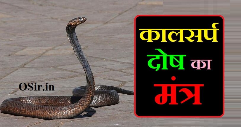 कालसर्प दोष निवारण मंत्र, कालसर्प दोष निवारण का मंत्र, kalasarpa dosha nivaran mantra, कालसर्प दोष निवारण यंत्र, कालसर्प दोष निवारण विधि, कालसर्प दोष निवारण रुद्राक्ष, कालसर्प दोष निवारण पूजा, अनंत कालसर्प दोष निवारण, कालसर्प दोष निवारण उपाय, कालसर्प मंत्र, कालसर्प दोष निवारण पूजा मुहूर्त , कालसर्प दोष उपाय मराठी, सर्प दोष निवारण मंत्र, कालसर्प दोष मंत्र, पितृ दोष और कालसर्प दोष में अंतर, आंशिक कालसर्प दोष के उपाय, आंशिक कालसर्प योग, आंशिक कालसर्प दोष, अनन्त कालसर्प दोष, नाग दोष निवारण मंत्र, कालसर्प दोष निवारण के उपाय, नाग दोष निवारण, कालसर्प गायत्री मंत्र, दोष निवारण मंत्र, सर्प काल दोष का निवारण, कालसर्प दोष निवारण इन हिंदी, तक्षक कालसर्प दोष के उपाय, तक्षक कालसर्प योग के उपाय, काल सर्प दोष इफेक्ट्स, नासिक कालसर्प दोष पूजा, कालसर्प दोष निवारण पूजा मुहूर्त , भकूट दोष निवारण मंत्र इन हिंदी, कालसर्प दोष निवारण हेतु मंत्र, सर्प काल दोष का निवारण, कालसर्प दोष निवारण इन हिंदी, तक्षक कालसर्प दोष के उपाय, तक्षक कालसर्प योग के उपाय, काल सर्प दोष इफेक्ट्स, नासिक कालसर्प दोष पूजा, कालसर्प दोष निवारण पूजा मुहूर्त, भकूट दोष निवारण मंत्र इन हिंदी, कालसर्प दोष निवारण हेतु मंत्र, 12 कालसर्प योग, kalasarpa dosha nivaran mantra, kala sarpa dosha nivaran mantra, kala sarpa dosha nivarana mantra, कालसर्प दोष निवारण मंत्र, कालसर्प दोष निवारण का मंत्र, kala sarpa dosha nivarana mantra in telugu pdf, kala sarpa dosha nivarana mantra in kannada, kala sarpa dosha nivarana mantra in tamil, kala sarpa dosha nivarana mantram in telugu, कालसर्प दोष निवारण विधि, kaal sarp dosh nivaran mantra, कालसर्प दोष निवारण इन हिंदी, कालसर्प दोष निवारण यंत्र, कालसर्प दोष निवारण के उपाय, कालसर्प दोष निवारण रुद्राक्ष, गण दोष निवारण, सर्प दोष निवारण मंत्र, दोष निवारण मंत्र, कालसर्प दोष निवारण पूजा, कालसर्प दोष मंत्र, तक्षक कालसर्प दोष के उपाय, कालसर्प दोष निवारण पूजा pdf, कालसर्प दोष निवारण, कालसर्प दोष निवारण पूजा विधि, कालसर्प दोष निवारण पूजा सामग्री, कालसर्प दोष निवारण पूजा मुहूर्त , सर्प दोष निवारण, कालसर्प दोष निवारण हेतु मंत्र, त्रिखल दोष निवारण मंत्र, कालसर्प दोष निवारण पूजा मुहूर्त , kaal sarp dosh nivaran mantra, काल सर्प दोष निवारण मंत्र, kaal sarp dosh nivaran mantra mp3, kaal sarp dosh nivaran mantra in hindi, kaal sarp dosh nivaran mantra in bengali, kaal sarp dosh nivaran mantra mp3 download, kaal sarp dosh nivaran mantra in marathi, vasuki kaal sarp dosh nivaran mantra, kaal sarp dosh ka nivaran mantra, kaal sarp dosh nivaran mantra in hindi pdf, kaal sarp dosh nivaran, सर्प दोष निवारण मंत्र, कालसर्प दोष निवारण मंत्र, कालसर्प दोष निवारण उपाय, anshik kaal sarp dosh, नवग्रह दोष निवारण मंत्र, ग्रह दोष निवारण मंत्र, सर्प दोष निवारण, घातक काल सर्प दोष, kaal sarp dosh mantra, takshak kaal sarp dosh, कालसर्प दोष निवारण यंत्र, तक्षक कालसर्प दोष के उपाय, kaal sarp dosh ka nivaran, भकूट दोष निवारण मंत्र इन हिंदी, राहु दोष निवारण मंत्र, कालसर्प दोष निवारण विधि, सर्प काल दोष का निवारण, sarp dosh nivaran mantra, त्रिखल दोष निवारण मंत्र, कालसर्प दोष निवारण पूजा मुहूर्त, कालसर्प दोष निवारण के उपाय, कालसर्प दोष के निवारण के उपाय बताइए, कालसर्प दोष निवारण का उपाय, kaal sarp dosh nivaran upay, आंशिक कालसर्प दोष के उपाय, आंशिक कालसर्प दोष क्या होता है, आंशिक कालसर्प योग, कालसर्प दोष निवारण मंत्र, कालसर्प दोष का निवारण कैसे करे, कालसर्प दोष का निवारण कैसे करें, काल सप दोष के लक्षण, कालसर्प दोष के उपाय इन हिंदी, कालसर्प दोष का निवारण कहां होता है, कालसर्प दोष निवारण यंत्र, कालसर्प दोष उपाय मराठी, कालसर्प दोष के उपाय बताइए, कालसर्प के उपाय, कालसर्प योग उपाय, कालसर्प दोष के लक्षण और उपाय, कालसर्प दोष निवारण इन हिंदी, आंशिक कालसर्प दोष, राहु-केतु दोष निवारण के लिए उपाय, कालसर्प दोष निवारण रुद्राक्ष, कालसर्प दोष के निवारण के उपाय, कालसर्प दोष के निवारण, कालसर्प दोष दूर करने के उपाय, घातक कालसर्प योग के उपाय, नाग दोष निवारण, घातक काल सर्प दोष, घातक कालसर्प योग, कालसर्प दोष के लक्षण क्या है, शंखचूड़ कालसर्प दोष का उपाय, कालसर्प योग निवारण, तक्षक कालसर्प दोष के उपाय, तक्षक कालसर्प योग के उपाय, takshak कालसर्प योग से मुक्ति के उपाय, तक्षक दोष के दुष्परिणाम, तक्षक कालसर्प दोष, कालसर्प+दोष+के+फायदे, कालसर्प दोष से बचने के उपाय, कालसर्प दोष निवारण उपाय, कालसर्प दोष दूर करने का 1 रामबाण उपाय, काल सर्प दोष के नुकसान, वासुकी कालसर्प दोष उपाय इन हिंदी, शंखचूड़ कालसर्प योग के उपाय, शंखपाल कालसर्प दोष के उपाय, कुंडली में कालसर्प दोष के उपाय, कालसर्प दोष दूर करने का उपाय,