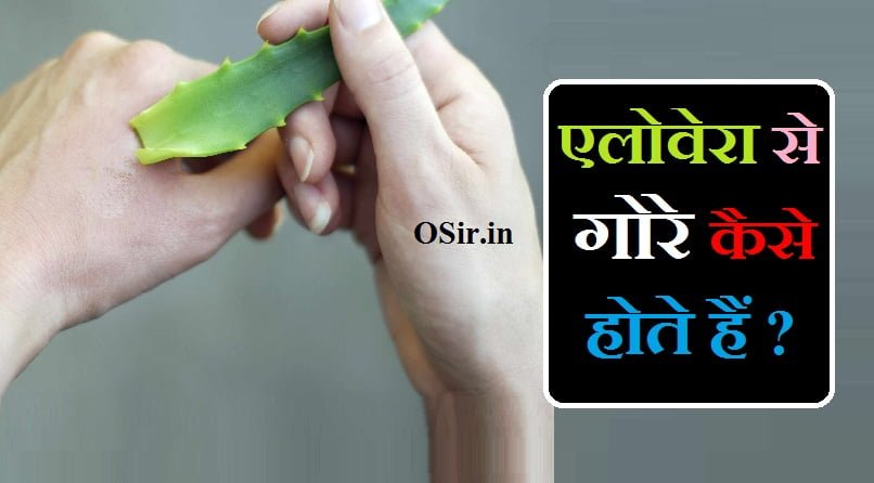 एलोवेरा से पिंपल कैसे हटाए, एलोवेरा लगाने से क्या होता है, एलोवेरा लगाने के बाद साबुन से धोना चाहिए, एलोवेरा को चेहरे पर कैसे लगाए, एलोवेरा जेल कैसे बनाते हैं, एलोवेरा जेल और हल्दी पाउडर, एलोवेरा के नुकसान, गर्मी में एलोवेरा के फायदे, एलोवेरा से गोरे कैसे होते हैं, एलोवेरा जेल से गोरे कैसे होते हैं, एलोवेरा से गोरा कैसे होते हैं, एलोवेरा लगाने से गोरे कैसे होते हैं, एलोवेरा जेल से गोरा कैसे होते हैं, एलोवेरा से चेहरा गोरा कैसे होता है, एलोवेरा के नुकसान, एलोवेरा के नुकसान for face, एलोवेरा के नुकसान for hair, एलोवेरा के नुकसान क्या है, एलोवेरा के नुकसान और फायदे, एलोवेरा के नुकसान क्या होते हैं, एलोवेरा के नुकसान बताइए, एलोवेरा के नुकसान बताएं, एलोवेरा के नुकसान और फायदे बताइए, aloe vera ke nuksan in hindi, aloe vera ke nuksan aur fayde, एलोवेरा के फायदे, एलोवेरा के नुकसान हिंदी में, aloe vera se kaise gore hote hain, aloe vera se gore kaise hote hain, aloevera se gore kaise hote hain, aloe vera gel se kaise gore hote hain, aloe vera se aloe vera gel kaise banaye, aloe vera ka swad kaisa hota hai, aloe vera se gore kaise hote hain, aloe vera se gore hote hain, एलोवेरा जेल और हल्दी पाउडर, aloe vera gel aur haldi lagane ke fayde, aloe vera aur haldi lagane ke fayde, aloe vera aur haldi lagane se kya hota hai, एलोवेरा जेल और विटामिन ई कैप्सूल, aloe vera aur haldi kaise lagaye, एलोवेरा के लगाने से फायदे, एलोवेरा लगाने के फायदे, एलोवेरा लगाने के फायदे चेहरे पर, एलोवेरा लगाने के फायदे बालों में, एलोवेरा के फायदे चेहरे पर लगाने से, एलोवेरा लगाने से फायदे, एलोवेरा लगाने के फायदे बताइए, एलोवेरा लगाने के फायदे बताएं, एलोवेरा लगाने के क्या फायदे हैं, aloe vera lagane se kya fayde hote hain, aloe vera lagane se kya fayda hota hai, aloe vera lagane se kya fayda hai, aloe vera lagane se kya fayde, aloe vera lagane se kya fayda, aloe vera lagane se kya kya fayda hota hai, aloe vera ko lagane se kya hota hai, aloevera lagane ke kya fayde hain, एलोवेरा लगाने से क्या फायदा है, एलोवेरा लगाने से क्या फायदे होते हैं, एलोवेरा लगाने से क्या फायदे हैं, एलोवेरा लगाने से क्या फायदे, एलोवेरा लगाने से क्या फायदा होता है, एलोवेरा लगाने से क्या फायदा, aloe vera lagane ke fayde in hindi, एलोवेरा लगाने से क्या होता है, एलोवेरा लगाने से क्या होता है बालों में, एलोवेरा लगाने से क्या होता है बताइए, aloe vera lagane se kya hota hai bataiye, एलोवेरा लगाने से क्या होता है चेहरे में, एलोवेरा लगाने से क्या होता है मुंह में, एलोवेरा लगाने से क्या होता है बाल में, एलोवेरा लगाने से क्या होता है गूगल, एलोवेरा लगाने से क्या होता है वीडियो दिखाएं, aloe vera lagane se kya kya hota hai, aloe vera lagane se kya kya fayda hota hai, aloe vera lagane se kya fayda hota hai, aloe vera lagane se kya hota hai chehre per, aloe vera lagane se kya hota hai, pata lagane se kya hota hai, aloe vera lagane se kya fayde hote hain, एलोवेरा सिर में लगाने से क्या होता है, एलोवेरा लगाने से क्या होता है वीडियो में बताइए, एलोवेरा जेल लगाने से क्या होता है बालों में, एलोवेरा घर में लगाने से क्या होता है, रात में एलोवेरा लगाने से क्या होता है, एलोवेरा लगाने से क्या होता है चेहरे पर, एलोवेरा जेल लगाने से क्या होता है चेहरे पर, एलोवेरा लगाने से क्या होता है फेस पर, mera lagane se kya hota hai, गर्मी में एलोवेरा के फायदे, गर्मी में एलोवेरा के फायदे, एलोवेरा के फायदे, एलोवेरा जेल से गोरे कैसे होते हैं, एलोवेरा जेल से गोरा कैसे होते हैं, एलोवेरा से गोरे कैसे होते हैं, aloe vera gel se kaise gore hote hain, aloe vera se gore kaise hote hain, गर्मी में एलोवेरा के फायदे, एलोवेरा के फायदे, aloe vera se gore kaise hote hain, aloe vera gel se kaise gore hote hain, aloe vera se aloe vera gel kaise banaye, aloe vera ka swad kaisa hota hai, aloe vera se gore kaise hote hain, aloe vera se gore hote hain, aloe vera se gora hone ka tarika, aloe vera se gora hone ka tarika, aloe vera se gora hone ka upay, aloe vera gel se gora hone ka tarika, aloe vera se gora hone ke upay, aloe vera gora hone ka tarika, aloe vera gel se gora hone ke upay, aloevera se gore hone ka tarika, gora hone ka tarika at home, aloe vera se gora hone ka tarika, aloe vera se gora kaise ho, gora hone ka formula, , aloe vera se kaise gore hote hain, aloe vera se gora hone ka tarika,