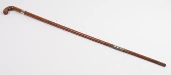 walking stick