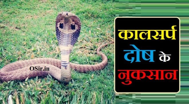 कालसर्प दोष क्या है ,, कालसर्प दोष क्या है इन हिंदी,, काल सर्प दोष क्या है,, कालसर्प दोष क्या है in hindi,, कालसर्प दोष क्या होता है इन हिंदी,, कालसर्प दोष के लक्षण क्या है,, कालसर्प दोष का निवारण क्या है,, कालसर्प दोष से क्या होता है,, आंशिक कालसर्प दोष क्या होता है,, कालसर्प दोष कितने प्रकार के होते हैं,, कालसर्प दोष के फायदे,, कालसर्प दोष के नुकसान,, कालसर्प दोष का निवारण कहां होता है,, कालसर्प दोष के लक्षण और उपाय,, कर्कोटक कालसर्प दोष लक्षण,, कालसर्प दोष सच या झूठ,, कालसर्प दोष का मंत्र,, कालसर्प दोष के लक्षण क्या है,, कालसर्प दोष के लक्षण क्या होते हैं,, kaal sarp dosh kya hota hai hindi,, कालसर्प दोष के फायदे,, कालसर्प दोष के नुकसान,, राहु-केतु कालसर्प दोष,, कालसर्प दोष के लक्षण और उपाय,, कालसर्प दोष के फायदे,, कालसर्प दोष कितने प्रकार के होते हैं,, नाग दोष के लक्षण,, काल सर्प दोष इफ़ेक्ट व मैरिज,, कालसर्प दोष निवारण पूजा pdf,, kaal sarp dosh kya hota h in hindi,, kaal sarp dosh ke lakshan in hindi,, kaal sarp dosh kya hota hai in hindi,, kaal sarp dosh kya hota hai hindi mein,, kaal sarp dosh ke prakar in hindi,, kaal sarp dosh se kya nuksan hota hai,, kaal sarp dosh kya hota hai hindi,, kaal sarp dosh kya hai in hindi,, kaldosh kya hota hai,, कालसर्प दोष के फायदे,, kya hota hai kaal sarp dosh,, kaal dosh kya hota hai,, kaal sarp dosh ke lakshan in hindi,, meaning of kaal sarp dosh,, how many types of kaal sarp dosh,, difference between kaal sarp yog and dosh,, what is a kaal sarp dosh,, kaal sarp dosh ke lakshan in hindi,, kaal sarp dosh ke prakar in hindi,, kaal sarp ke lakshan,, kaal sarp dosh ke fayde,, kaal sarp dosh puja ke fayde,, padam kaal sarp dosh ke fayde,, kulik kaal sarp dosh ke fayde,, anant kaal sarp dosh ke fayde,, takshak kaal sarp dosh ke fayde,, meaning of kaal sarp dosh,, how many types of kaal sarp dosh,, what happens when you have kaal sarp dosh,, what is a kaal sarp dosh,, what to do in kaal sarp dosh,, kaal sarp dosh ke fayde,, kaal sarp yog ke fayde,, kaal sarp dosh ke liye kya karna chahiye,, kaal sarp dosh kya hota h,, kaal sarp dosh kya hota hai,, kaal sarp dosh kyon hota hai,, kaal sarp dosh ke gharelu upay,, kaal sarp dosh se kya nuksan hota hai,, how many types of kaal sarp dosh,, meaning of kaal sarp dosh,, difference between kaal sarp yog and dosh,, what is a kaal sarp dosh,, kaal sarp dosh se kya nuksan hota hai,, kaal sarp dosh se kya hota hai,, kaal sarp dosh kya hota hai hindi,, kaal sarp dosh kya hai aur uska nivaran kya hai,, kaal sarp dosh kya hota hai hindi mein,, kaal sarp dosh kya h in hindi,, kaal sarp dosh se hone wali pareshani,, kaal sarp dosh kya hota h in hindi,, kaal sarp dosh kya hai in hindi,, kaal sarp dosh kya hota hai hindi mein,, kaal sarp yog kya hota hai in hindi,, meaning of kaal sarp dosh,, kaal sarp dosh example,, kaal sarp dosh meaning in english,, kaal sarp dosh kya hota hai in hindi,, kaal sarp dosh kya hota h in hindi,, kaal sarp dosh kya hai in hindi,, how many types of kaal sarp dosh,, कालसर्प दोष क्या है,, कालसर्प दोष के फायदे,, शेषनाग कालसर्प दोष के फायदे,, कालसर्प दोष के फायदे,, kaal sarp dosh ke fayde,, कालसर्प दोष के नुकसान,, कालसर्प दोष के लक्षण और उपाय,, कालसर्प दोष के फायदे,, कालसर्प दोष के लक्षण,, कालसर्प दोष कितने प्रकार के होते हैं,, सावन में कालसर्प दोष के उपाय,, कालसर्प दोष निवारण पूजा pdf,, कालसर्प दोष का मंत्र,, कालसर्प दोष निवारण पूजा pdf,, कालसर्प दोष के नुकसान,, कालसर्प दोष कितने होते है,, कालसर्प दोष के फायदे,, कालसर्प दोष के लक्षण और उपाय,, कर्कोटक कालसर्प दोष लक्षण,, कालसर्प दोष पूजा सामग्री,, कालसर्प दोष का मंत्र,, कालसर्प दोष निवारण पूजा pdf,, कालसर्प दोष के नुकसान,, सर्प पूजन मंत्र,, कालसर्प दोष पूजा सामग्री,, नाग दोष निवारण मंत्र,, कालसर्प दोष सच या झूठ,, कालसर्प दोष के फायदे,, कालसर्प दोष पूजा विधि,, ,, ,, ,, ,, ,,