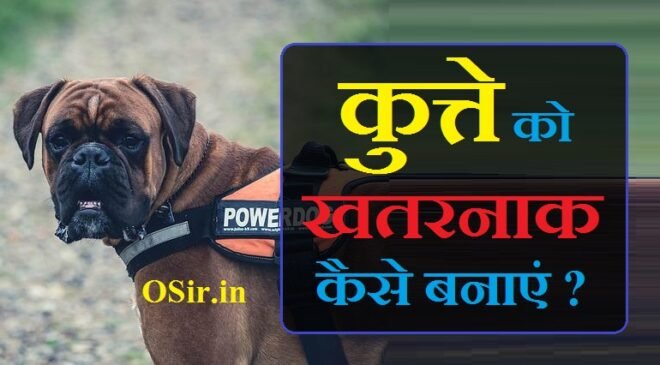 कुत्ते को खतरनाक कैसे बनाएं,, देसी कुत्ते को खतरनाक कैसे बनाएं,, कुत्ते को भोकना कैसे सिखाएं,, कुत्ते के नाम,, कुत्ते को खतरनाक ,, कुत्ते को खतरनाक कैसे बनाएं,, कुत्ते को खतरनाक कैसे बनाते हैं,, देसी कुत्ते को खतरनाक कैसे बनाएं,, कुत्ते खतरनाक,, कुत्ते खतरनाक है,, duniya ke sabse khatarnak kutte ke naam,, bahut khatarnak kutta,, खतरनाक कुत्ते नस्लों,, कुत्ता खतरनाक,, खतरनाक कुत्ते की लड़ाई,, पिटबुल कुत्ते खतरनाक,, कुत्ते की खतरनाक,, सबसे खतरनाक कुत्ते,, khatarnak kutte khatarnak kutte,, dj khatarnak dj,, dj khatarnak,, dog khatarnak dog,, khatarnak jeev,, khatarnak jantu,, खतरनाक कुत्ता का आवाज,, khatarnak kutte ki ladai,, दुनिया के खतरनाक कुत्ते,, 10 सबसे खतरनाक कुत्ते,, 10 खतरनाक कुत्ते,, कुत्ते की आवाज खतरनाक,, khatarnak kutte ki photo,, duniya ka sabse khatarnak kutta kaun sa hota hai,, duniya ka sabse khatarnak kutta kaun sa hai,, sabse khatarnak kutta kaun sa hai,, duniya ka sabse khatarnak kutta kaun hai,, duniya mein sabse khatarnak kutta kaun hai,, duniya ke sabse khatarnak kutte ka naam,, duniya ka sabse khatarnak kutte ka naam,, duniya ka sabse khatarnak kutta ka naam,, दुनिया के सबसे खतरनाक कुत्ते का नाम बताइए,, duniya ka khatarnak kutta,, duniya ke khatarnak kutte,, duniya ke sabse khatarnak 5 kutte,, बहुत खतरनाक कुत्ता,, बहुत खतरनाक कुत्ते,, kutta kutta hai kya,, bahut khatarnak kutte,, bahut kutta,, bahut kutta kutta,, bahut kutte,, bahut khatarnak log hai meme,, सबसे खतरनाक कुत्ते नस्लों,, khatarnak kutta kaun sa hai,, khatarnak dog name,, sabse khatarnak kutte ki nasl,, khatarnak kutta ka photo,, सबसे खतरनाक कुत्ता,, सबसे खतरनाक कुत्ता कौन सा है,, सबसे खतरनाक कुत्ता दुनिया का,, खतरनाक कुत्ता कौन सा है,, कुत्ता की लड़ाई खतरनाक,, khatarnak bulldog,, सबसे खतरनाक कुत्ता है,, खतरनाक कुत्तों के नाम,, खतरनाक कुत्तों के बारे में जानकारी,, पिटबुल कुत्ता खतरनाक,, सबसे खतरनाक कुत्ता कौन है,, दुनिया का खतरनाक कुत्ता,, दुनिया सबसे खतरनाक कुत्ता,, सबसे खतरनाक कुत्ते की लड़ाई,, पिटबुल कुत्ते कितने खतरनाक होते हैं,, पिटबुल कुत्ता कितना खतरनाक होता है,, पिटबुल कुत्ता कितना खतरनाक है,, pitbull kutta dog,, कुत्ते की खतरनाक लड़ाई,, कुत्ते भोकने की आवाज खतरनाक,, सबसे खतरनाक कुत्ते का नाम,, सबसे खतरनाक कुत्ते की प्रजाति,, सबसे खतरनाक कुत्ते की नस्ल,, सबसे खतरनाक कुत्ते की फोटो,, सबसे खतरनाक कुत्ते की आवाज,, सबसे खतरनाक कुत्ते का नाम बताइए,, सबसे खतरनाक कुत्ते कौन से हैं,, सबसे खतरनाक कुत्ते कौन से होते हैं,, सबसे खतरनाक कुत्ता क्या है,, sabse khatarnak kutta kaun hai,, sabse khatarnak kutta ka naam,,