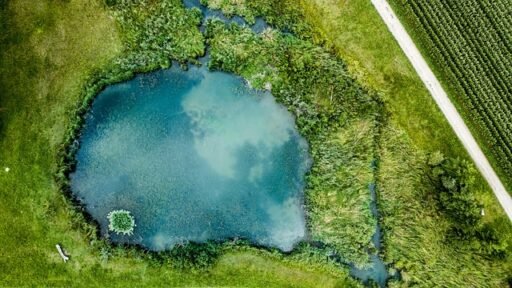 pond