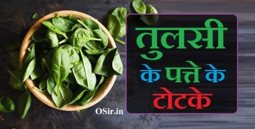 12 तुलसी के पत्ते के टोटके : पुत्र प्राप्ति, जल्दी शादी और काम में सफलता | Tulsi ke patte ke totke