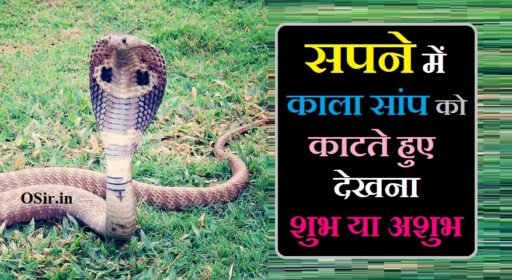 सपने में काला सांप को काटते हुए देखना शुभ या अशुभ सपने में काला सांप को काटते हुए देखना शुभ या अशुभ, सपने में काला सांप को देखना, सपने में सांप को देखना शुभ है या अशुभ, sapne kala saap dekhna, sapne mein kale saap ka katna kaisa hota hai, सपने में सांप को देखना का मतलब, सपने में सांप को देखना, सपने में सांप को मारते हुए देखना, सपने में काला सांप को देखना का मतलब, सपने में काले सांप को देखना, सपने में काले सांप को देखना क्या होता है, सपने में काला नाग सांप को देखना, सपने में काला सांप को मारते हुए देखना, सपने में काला सांप को काटते हुए देखना, सपने में काले सांप को भागते हुए देखना, सपने में काला सांप को पानी में तैरते हुए देखना, सपने में सफेद या चमकीला सांप देखना, sapne mein safed saap dekhne ka matlab, sapne mein safed saap dekhne ka kya matlab hota hai, sapne me safed saap dekhne ka matlab, सपने में सफेद सांप को देखने का मतलब, sapne mein saap dekhne ka matlab kya hota hai, sapne mein safed saap dekhna kaisa hota hai, sapne mein safed saap ka dikhna, sapne mein saap dekhne ka kya matlab hota hai, sapne me safed saap dekhna kya hota hai, sapne me saap dekhne ka matlab kya hota hai, sapne me safed saap dekhna kaisa hota hai, सपने में सफेद सांप देखने का क्या अर्थ होता है, सपने में सफेद सांप देखने का क्या अर्थ हैसांप के काटने से मरते हुए देखना, saamp ke kaatne per kya karen, saamp ke kaatne se, saap ke katne se maut, saap ke katne se kya hota hai, saap ke katne ka sapna dekhna, saanp ke katne ka sapna, saamp ke kaatne, sap ke katne se kya hota hai, saamp kaatne ke lakshan, saamp ke kaatne per, saamp kaatne se kya hota hai, sapne me kala saap dekhna kaisa hota hai, sapne mein kala naag ko dekhna, sapne kala naag dekhna, sapne me kala saap dekhna in hindi, sapne me kala saap ka joda dekhna, sapne me kala saap dekhne ka matlab, सपने में काला सांप देखना इसका क्या अर्थ है, सपने में सांप को काटते हुए देखना शुभ या अशुभ, सांप का सपना देखना शुभ है या अशुभ, सपने में सांपों को देखना शुभ या अशुभ, sapne me saap dekhna shubh ya ashubh in hindi, sapne me saap ko dekhna shubh ya ashubh, saap dekhna shubh ya ashubh, sapne me kala saap dekhna kya hota h, sapne mein kala saap dekhna shubh ya ashubh, sapne me safed kala saap dekhna, sapne me lamba kala saap dekhna, sapne mein lal aur kala saap dekhna, sapne mein safed aur kala saap dekhna, kala saap dekhna kaisa hota hai, saap ka sapna kyu aata hai, sapne me bada kala saap dekhna, sapne me kala saap ka bacha dekhna, sapne mein bada kala saap dekhna, sapne me bahut bada kala saap dekhna, sapne mein kala saap ko bhagte hue dekhna, sapne me chhota kala saap dekhna, raste me kala saap dekhna, sapne me kala safed saap dekhna, sapne me kala naag saap dekhna, sapne mein kala safed saap dekhna, sapne me kala peela saap dekhna, sapne me kala saap marna dekhna, sapne mein kala saap dekhna kaisa hota hai, sapne me kala saap dekhna kya hota hai, sapne mein kala saap dekhna kya hota hai, sapne me ghar me kala saap dekhna, sapne mai kala saap dekhna kaisa hai, sapne mein kala saanp khate hue dekhna, sapne mein kala saap ko dekhna, sapne me kala saap ka katna dekhna, sapne me kala saap dekhna, sapne me pani me kala saap dekhna, pregnancy me sapne me kala saap dekhna, sapne mein kala rang ka saap dekhna, sapne mein kala saap dekhne se kya hota hai, sapne mein kala sanp dekhna, sapne me sanp dekhna kala, sapne mein kala saap dekhne ka matlab, sapne mein kale saap ka katna, sapne mein saap ka katna shubh hota hai ya ashubh, saap ka katna sapne mein kaisa hota hai, sapne mein kale saap ka dikhna, sapne mein kale saap ka dekhna, sapne mein kala saap katne se kya hota hai, sapne mein kala saap ka katna, sapne mein saanp ka katna kaisa hota hai, sapne mein kale nag ka katna, sapne mein saap ka katna shubh ya ashubh, सपने में हरा सांप को देखना का मतलब, सपने में दो सांप को देखना का मतलब, सपने में सांप को देखना क्या मतलब होता है, सपने में सांप को देखना क्या मतलब है, सपने में सांप देखना क्या मतलब है, sapne me saap ko dekhne ka matlab kya hota hai, sapne me saap dekhna ka matlab kya hota hai, sapne mein saamp ko dekhne ka kya matlab hota hai, sapne me saap ko dekhna kaisa hota hai, sapne mein saamp ko dekhne ka matlab kya hota hai, सपने में सांप को देखना शुभ या अशुभ, सपने में सांप को देखना और काटना, सपने में सांप को देखना क्या होता है, सपने में सांप को देखना और मारना, सपने में सांप को देखना काटते हुए, सपने में सांप का देखना कैसा होता है, sapne me saap ko dekhna kya hota hai, sapne me saap ko dekh kar bhagna, सपने में नाग सांप को देखना, सपने में hara सांप को देखना, सपने में सांप को देखना कैसा है, सपने में सांप देखना in hindi, सपने में सांप को देखना कैसा होता है, सपने में सांप देखना इन हिंदी, सपने में सांप को देखना क्या होता है बताइए, सपने में lal सांप को देखना, sapne mai saap ko dekhna kaisa hota hai, sapne mai saap ko dekhna kya hota hai, सपने में सांप को नाचते हुए देखना, sapne me saap dekhna or marna, sapne me saap dekhna or katna, सपने में सफेद सांप को देखना क्या होता है, सपने में सांप को मारते हुए देखना क्या होता है, सपने में सांप को देखना क्या माना जाता है, sapne me saap ko rengte dekhna, सपने में safed सांप को देखना, सपने में सांप को मरते हुए देखना, स्वप्न में सांप को मारते हुए देखना, सपने में सफेद सांप को मारते हुए देखना, सपने में सांप के बच्चे को मारते हुए देखना, सपने में सांप मारते हुए देखना क्या होता है, सपने में काले सांप को मारते हुए देखना, सपने में काला सांप मारते हुए देखना, sapne me saap ko marte hue dekhna kaisa hota hai, sapne me saap ko marte hue dekhna, सपने में खुद को सांप को मारते हुए देखना, sapne me saap ko marte huye dekhna, sapne mein kala saap dekhne ka kya matlab hai, सपने में काले सांप को पानी में तैरते हुए देखना, सपने में काला सांप देखना वीडियो, sapne mein kale naag ko dekhna, sapne me kale naag ko dekhna, sapne me kale nag ko dekhna, sapne me kala insan dekhna, sapne mein kale saap ka joda dekhna, sapne me kale saap ka joda dekhna, sapne me kale saap ko dekhna, sapne mein kale saap ko dekhna, sapne mein kale saap dekhna, sapne me kale rang ka saap dekhna, sapne mein kale rang ka saap dekhna, sapne mein kala naag dekhna kaisa hota hai, sapne mein kala nag dekhna kaisa hota hai, sapne mein kala saanp ko marte hue dekhna, सपने में काला सांप काटते हुए देखना, sapne mein kala saamp dikhe to kya hota hai, sapne mein saanp ko pani mein terte hue dekhna, sapne me kala saap pani me dekhna,