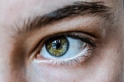 vision