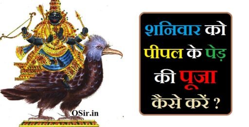 शनिवार को पीपल के पेड़ की पूजा कैसे करें, शनिवार के दिन पीपल के पेड़ की पूजा कैसे करें, शनिवार के दिन पीपल के वृक्ष की पूजा करने का मंत्र, शनिवार के दिन पीपल के पेड़ की पूजा करने के फायदे, शनिवार को पीपल के पेड़ के ये उपाय, पीपल के पेड़ की पूजा कैसे करें, शनिवार को पीपल के पेड़ की पूजा कैसे करें, पीपल पेड़ की पूजा कैसे करें, पीपल का पेड़ की पूजा कैसे करें, पीपल का पेड़ का पूजा कैसे करें, शनिवार के दिन पीपल के पेड़ की पूजा कैसे करें, शनिवार को पीपल के पेड़ के ये उपाय, शनिवार को पीपल में जल कब चढ़ाना चाहिए, शनिवार को पीपल पर जल कब चढ़ाना चाहिए, शनिवार के दिन पीपल में जल कब चढ़ाना चाहिए, शनिवार के दिन पीपल पर जल कब चढ़ाना चाहिए, shaniwar ko pipal mein jal kab dena chahiye, Shaniwar ko Pipal Ke ped ke upay, Shaniwar ke din Pipal Ke ped ki Puja karne ke fayde, Shaniwar ke din Pipal Ke vruksh ki Puja karne ka Mantra , Shaniwar ko Pipal Ke ped ki Puja kaise karen, pipal ka ped ko english mein kya bolate hain,