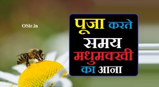 पूजा करते समय मधुमक्खी का आना | Puja kare samay madhumakhi ka aana