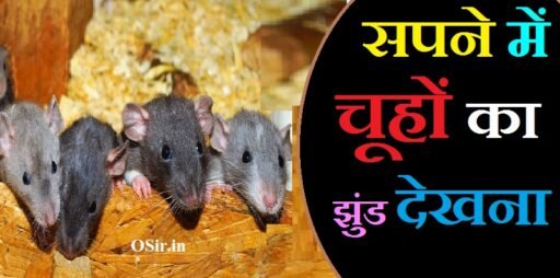 सपने में चूहों का झुंड देखना का मतलब जाने : बनेंगे मालामाल या आएगी गरीबी? | Sapne mein Chuha ka jhund dekhna