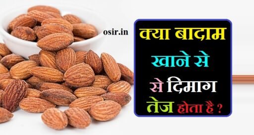 क्या बादाम खाने से दिमाग तेज होता है, कौन सा बादाम खाने से दिमाग तेज होता है, बादाम खाने से दिमाग बढ़ता है, बादाम में पाए जाने वाले पोषक तत्व, बादाम में पोषक तत्वों की मात्रा, बादाम में कौन कौन से पोषक तत्व पाए जाते हैं, बादाम में कौन-कौन से तत्व पाए जाते हैं, बादाम में क्या-क्या पाया जाता है, kya badam khane se dimag tej hota haiya nahi , kya badam khane se dimag tez hota hai, badam mein paye jane wale poshak tatva, badam khane se maind tej hota hai , badam khane se kamjori dur hoti hai ,