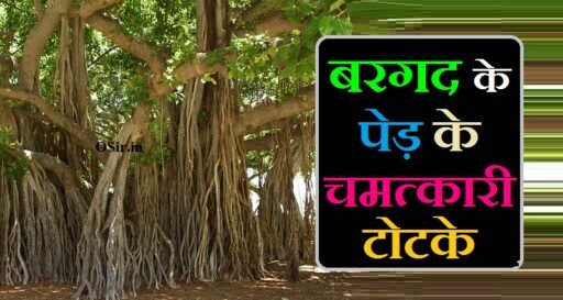 बरगद के पेड़ के चमत्कारी टोटके एवं आसना 2 आसान चमत्कारी उपाय | Bargad ke ped ke chamatkari totke