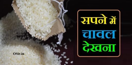 sapne me chawal dekhna, sapne me chawal dekhna matlab, सपने में चावल देखना कैसा होता है, सपने में चावल देखना क्या होता है, सपने में चावल की खेती देखना , Sapne mein chawal ki kheti dekhna, सपने में चावल देखना शुभ है या अशुभ, सपने में चावल खाना कैसा होता है, apne mein chawal khana kaisa hota hai , sapne me kache chawal dekhna, sapne me paka chawal dekhna, सपने में चावल देखना, सपने में chawal देखना, सपने में कच्चे चावल देखना, सपने में चावल का ढेर देखना , Sapne mein chawal ka dher dekhna, सपने में कच्चा चावल देखना, सपने में कच्चे चावल देखना , Sapne mein kache chawal dekhna, सपने में chawal dekhna, ,