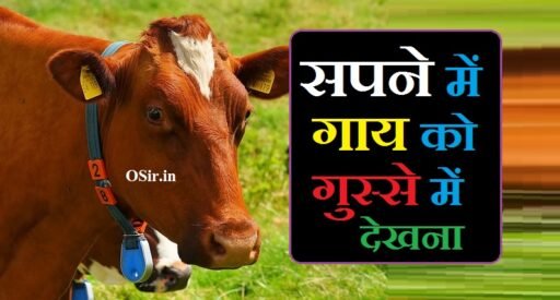 सपने में गाय को गुस्से में देखना | Sapne me gaay ko gusse me dekhna