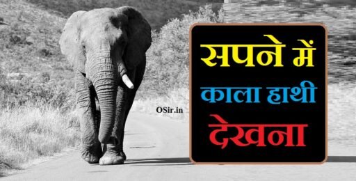 सपने में काला हाथी देखना, सपने में हाथी देखने का अर्थ, सपने में हाथी का बच्चा देखना, सपने में हाथी का हमला देखना, सपने में हाथी देखना क्या है, Sapne mein kala hathi dekhna, sapne mein kala hathi dekhna kaisa hota hai, sapne mein kala hathi dekhna, सपने में हाथी को गुस्से में देखना , Sapne mein hathi ko gusse mein dekhna, सपने में काला हाथी देखने का मतलब, सपने में हाथियों का झुंड देखना , Sapne mein hathiyo ka jhund dekhna, sapne me kala hathi dekhna, sapne mein kali hathi , सपने में सफेद हाथी देखना , Sapne mein safed hathi dekhna, सपने में खुद को हाथी के ऊपर देखना , Sapne mein khud ko hathi ke upar dekhna, sapne mein hathi ka dekhna kaisa hota hai, सपने में काला भैंसा देखना कैसा होता है, सपने में छोटा हाथी देखना , Sapne mein chhota hathi dekhna, sapne mein hathi dekhna kaisa rahata hai, ,