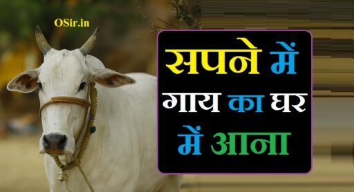 सपने में गाय का घर में आना, सपने में काली गाय का घर में आना, सपने में सफेद गाय का घर में आना, घर में गाय आने का क्या मतलब है, घर में गाय आने से क्या होता है, सपने में काली गाय देखने का मतलब, सपने में काली गाय और बछड़ा देखना, सपने में काली गाय का देखना, सपने में काली गाय देखने से क्या होता है, सपने में सफेद गाय का बच्चा देखना, Sapne me gaay ka ghar me aana, sapne me gaay ka ghar me aana, sapne me gaay aur bachda dekhna, sapne me gaay ka gobar dekhna, sapne me gaay dekhne ka matlab, sapne mein gaay ka ghar mein aana, sapne me gaay ka jhund dekhna,