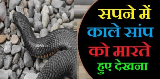 सपने में सांपों का झुंड देखना , Sapne mein saanp ka jhund dekhna, सपने में भूरे रंग का सांप देखना , Sapne mein bhure rang ka saanp dekhna, सपने में सांप का काटना , Sapne mein saanp ka katna, सपने में सांप को भागते हुए देखना , Sapne mein saanp ko bhagte hue dekhna, सपने में काले सांप को मारते हुए देखना, सपने में सांप को मारते हुए देखने का मतलब, सपने में सांप को मारते हुए देखना क्या होता है, सपने में सांप को मारते हुए देखना, Sapne mein kale saanp ko marte hue dekhna, sapne mein kale saap ko marte hue dekhna, saap ko marte hue dekhna sapne me, सपने में सांप को देखने का मतलब क्या होता है, सपने में सांप को मारते हुए देखना शुभ या अशुभ, सपने में सांप को मारते हुए देखना है, सपने में सांप मारते हुए देखना, सपने में काला सांप को मारते हुए देखना, 