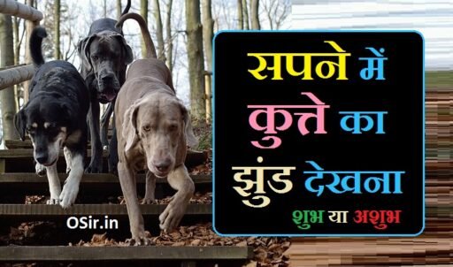 सपने में कुत्ते का झुंड देखना,, सपने में रोते हुए कुत्ते का झुंड देखना,, सपने में पागल कुत्ते का झुंड देखना,, सपने में मरे हुए कुत्ते का झुंड देखना,, सपने में सफेद कुत्ते का झुंड देखना,, सपने में काले कुत्ते का झुंड देखना,, सपने में एक कुत्ते को देखना,, Sapne me kutte ka jhund dekhna,, Sapne me rote huye kutte ka jhund dekhna,, Sapne me pagal kutte ka jhund dekhna,, Sapne me mre huye kutte ka jhund dekhna,, Sapne me safed kutte ka jhund dekhna,, Sapne me kale kutte ka jhund dekhna,, Sapne me ek kutte ko dekhna,, सपने में कुत्ते का झुंड देखना,, सपने में काले कुत्ते का झुंड देखना,, सपने में कुत्तों का झुंड देखना,,