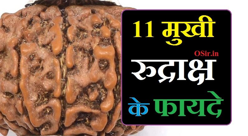 11 mukhi rudraksha benefits in hindi | 11 मुखी रुद्राक्ष बेनिफिट्स इन हिंदी