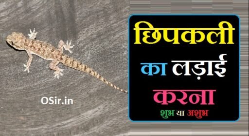 छिपकली का लड़ाई करना,, छिपकली का लड़ाई करना शुभ या अशुभ,, छिपकली की लड़ाई,, छिपकली का झगड़ा,, छिपकली का ऊपर चढ़ना,, छिपकली की लड़ाई देखने से क्या होता है,, सपने में छिपकली देखना शुभ है या अशुभ,, छिपकली का घर में रहना शुभ है या अशुभ,, छिपकली की लड़ाई देखना,, छिपकली की लड़ाई,, छिपकली की आवाज सुनाओ,, chipkali ki ladai dekhna,, chipkali ki ladai dekhne se kya hota hai,, chipkali ko ladai karte dekhna,, दो छिपकली की लड़ाई,,