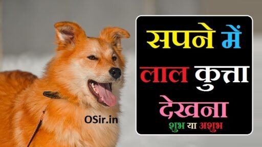 सपने में लाल कुत्ता देखना,, Sapne me lal kutta dekhna,, सपने में लाल कुत्ता देखना कैसा होता है,, lal kutta dekhna,, सपने में हंसता खेलता लाल कुत्ता देखना,, सपने लाल कुत्ते को रोते हुए देखना,, सपने में लाल कुत्ते को घायल अवस्था में देखना,, सपने में लाल कुत्ते को उदास बैठा देखना,, सपने में लाल कुत्ते को किसी के पीछे भागते हुए देखना,, सपने में लाल कुत्ते को भौंकते हुए देखना,, सपने में लाल कुत्ते को मरे हुए देखना,, सपने में एक साथ कई सारे लाल कुत्ते देखना,, Sapne me hansta khelta lal kutta dekhna,, Sapne me lal kutte ko rote hue dekhna,, Sapne me lal kutte ko ghayal awastha me dekhna,, Sapne me lal kutte ko udas baitha dekhna,, Sapne me lal kutte ko kisi ke piche bhagte hue dekhna,, Sapne me lal kutte ko bhaukte hue dekhna,, Sapne me lal kutte ko mre hue dekhna,, Sapne me ek saath kai sare lal kutte dekhna,,