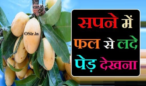 सपने में फल से लदे पेड़ देखना,, सपने में फलों से लदे पेड़ देखना,, sapne me fal se lada ped dekhna,, सपने में आम के फल से लदा पेड़ देखना,, सपने में जामुन के फल से लदा पेड़ देखना,, सपने में इमली से लदा हुआ पेड़ देखना,, सपने में लीची के फल से लदा हुआ पेड़ देखना,, सपने में पपीते के फल से लदा हुआ पेड़ देखना,, सपने में बेर के फल से लदा हुआ पेड़ देखना,, सपने में तरबूज फल से लदा हुआ पेड़ देखना,, सपने में खरबूजे के फल से लदा हुआ पेड़ देखना,, Sapne me aam ke fal se lada ped dekhna,, Sapne me jamun ke fal se lada ped dekhna,, Sapne me imli se lada hua ped dekhna,, Sapne me lichi ke fal se lada hua ped dekhna,,